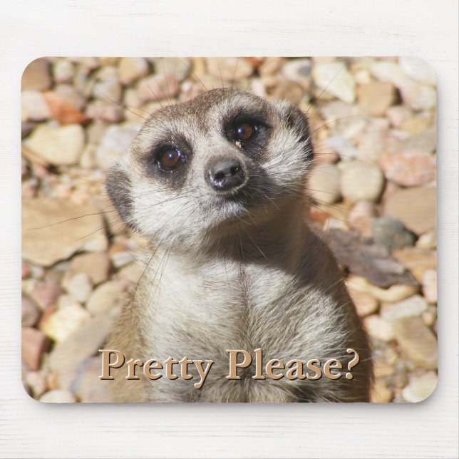 Meerkat Mousepad (Vorne)
