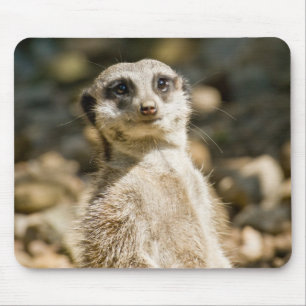 Meerkat Mousepad