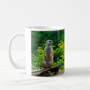 Meerkat Mug
