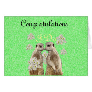 Meerkat nimmt Hochzeitsstimmen, Note Wedding Card