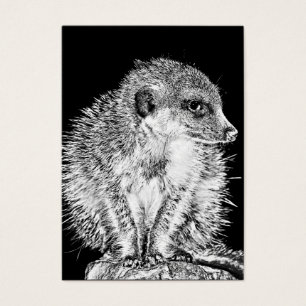 Meerkat, noir et blanc