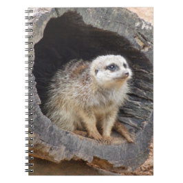 Meerkat-Notebook Notizblock