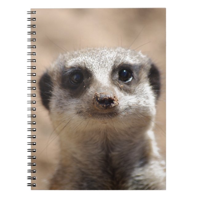 Meerkat Notizblock (Vorderseite)