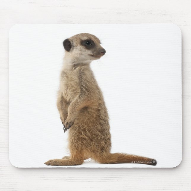 Meerkat oder Suricate - Suricata suricatta Mousepad (Vorne)