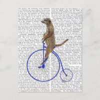 Meerkat On Blue Penny Farthing