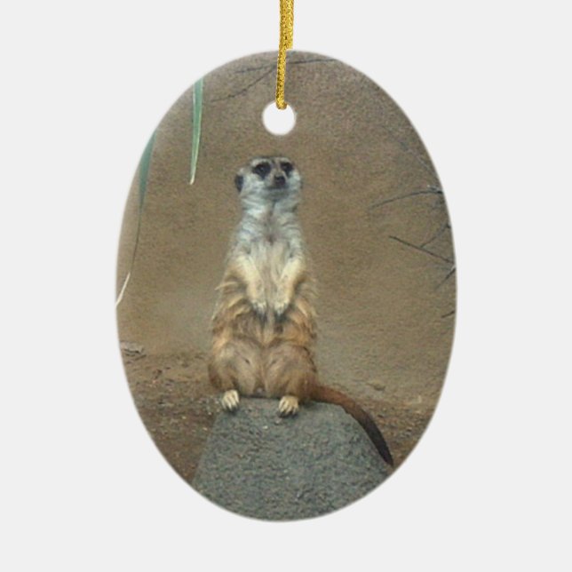 Meerkat Ornament (Vorne)