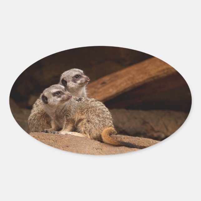 Meerkat Oval Sticker (Vorderseite)
