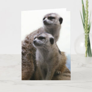 Meerkat Paar-Gruß-Karte Karte
