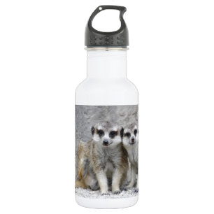 Meerkat-Paar Trinkflasche