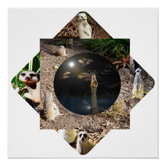 Meerkat Polyscope Poster (Vorderseite)