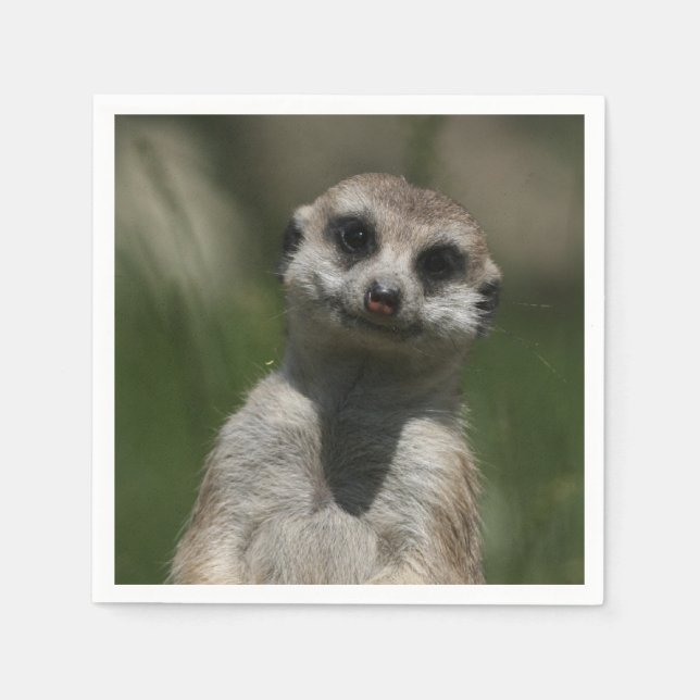 Meerkat-Portrait 004 Serviette (Vorderseite)
