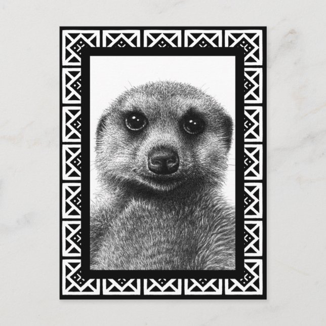 Meerkat Postcard Postkarte (Vorderseite)