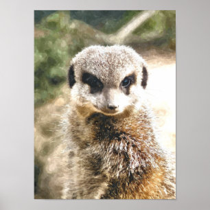 MEERKAT POSTER