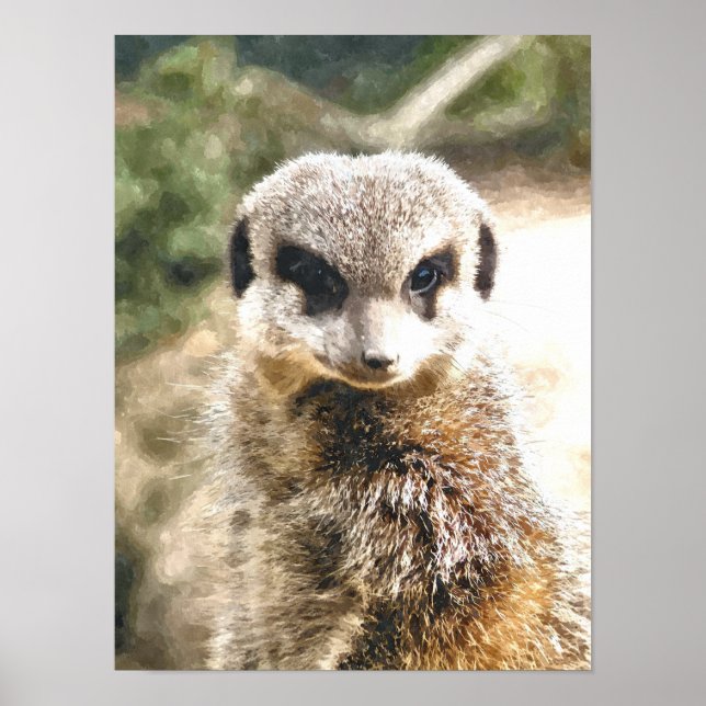 MEERKAT POSTER (Vorne)