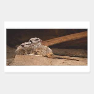 Meerkat Rectangle Aufkleber