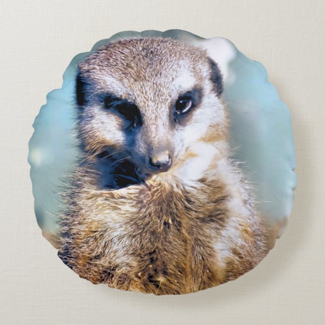 MEERKAT RUNDES KISSEN (Vorderseite)