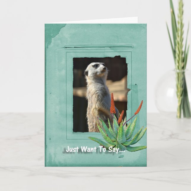 Meerkat Sammlungs-Anmerkungs-Karte Karte (Vorderseite)