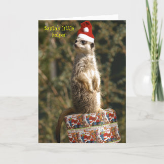Meerkat, Sankt kleine Helfer Karte