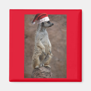Meerkat-Santa Magnet