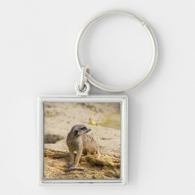 Meerkat Schlüsselanhänger (Vorne)