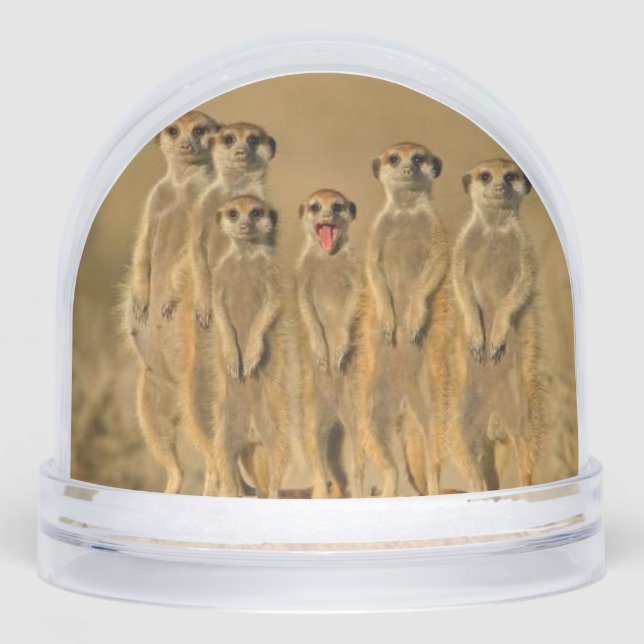 Meerkat Schneekugeln (Vorderseite)