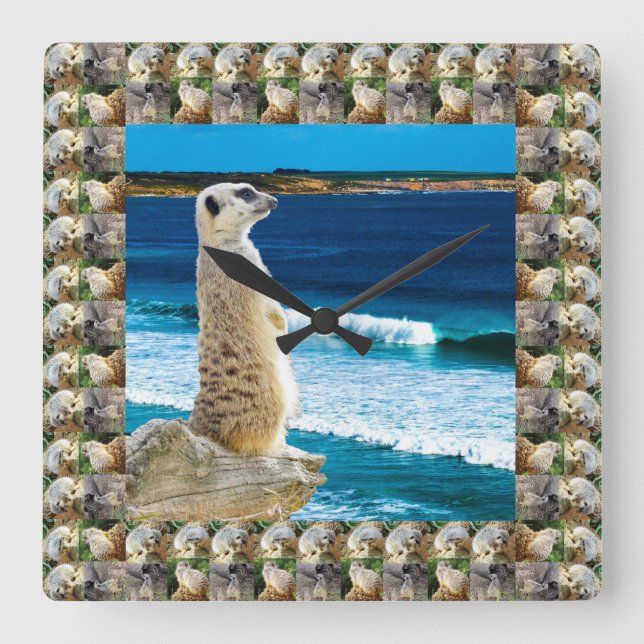 Meerkat Sentry Watching am Strand, Quadratische Wanduhr (Vorderseite)