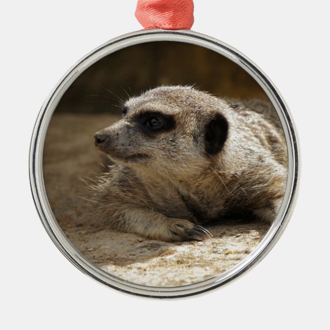 Meerkat Silbernes Ornament (Vorne)