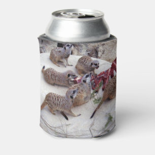 Meerkat Snack Time, Stubby Cooler. Dosenkühler