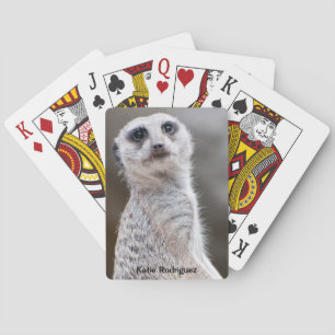Meerkat Spielkarten