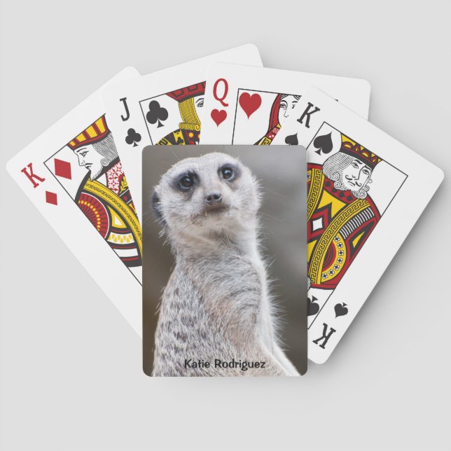 Meerkat Spielkarten (Rückseite)