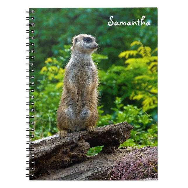 Meerkat Spiral Notebook Notizblock (Vorderseite)