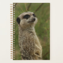 Meerkat Spiralplaner und Notizbuch
