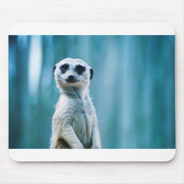 Meerkat Staredown Mousepad (Vorne)