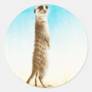 Meerkat Sticker
