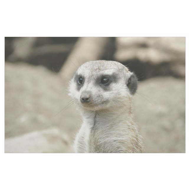 Meerkat Stoff (Yard (91,4 cm))