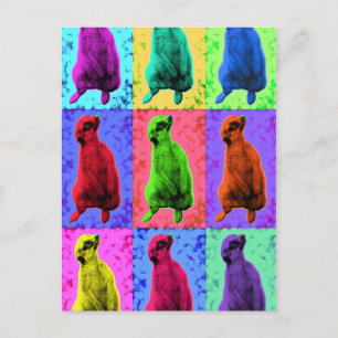 Meerkat sucht Pop Art Popart Multipanel Postkarte