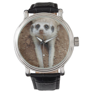 Meerkat (Suricata Suricatta) Kühlung Armbanduhr