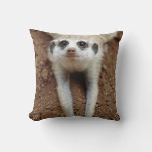 Meerkat (Suricata Suricatta) Kühlung Kissen