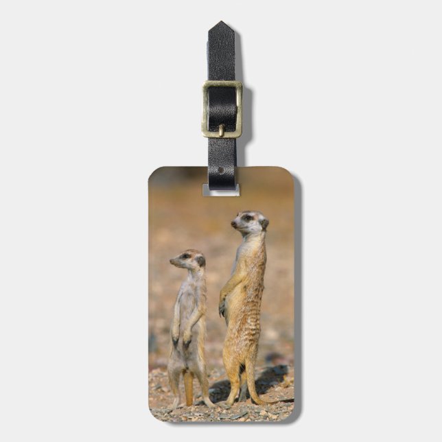 Meerkat (Suricata Suricatta) Sentinels, Karas Gepäckanhänger (Vorderseite vertikal)