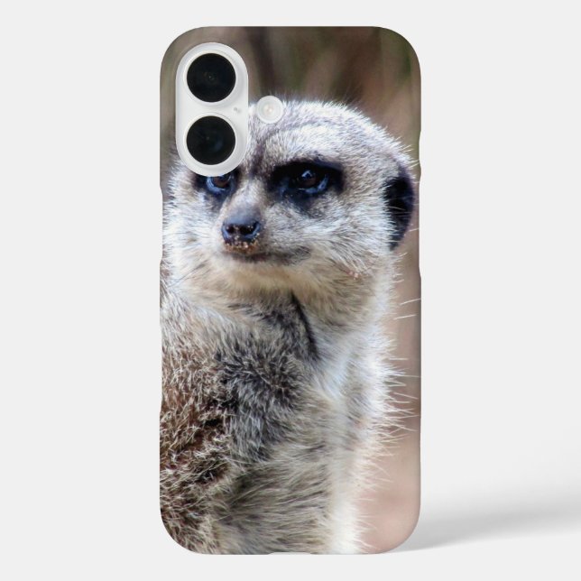 meerkat title_seo2 (Rückseite)
