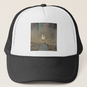 Meerkat Truckerkappe