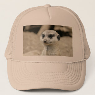 Meerkat Truckerkappe