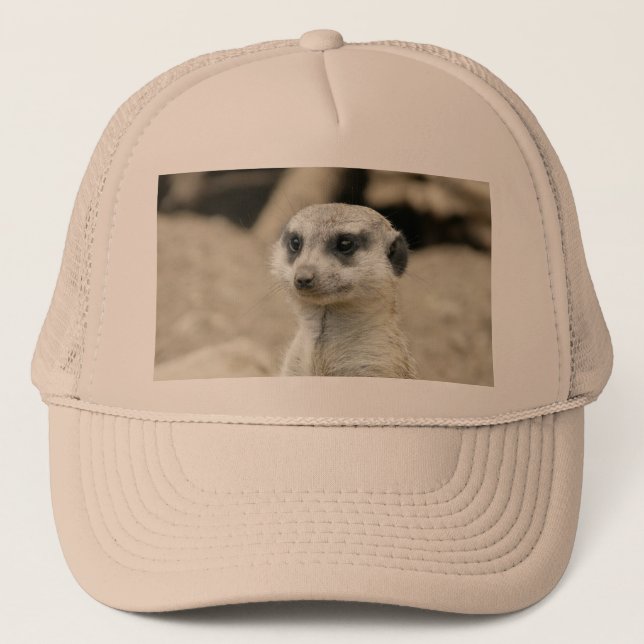 Meerkat Truckerkappe (Vorderseite)