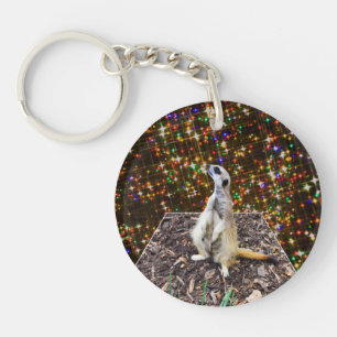 Meerkat Twinkle Stars,
