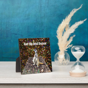 Meerkat Twinkle Stars, Foto Plaque Fotoplatte
