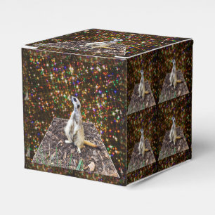 Meerkat Twinkle Stars, Geschenkschachtel