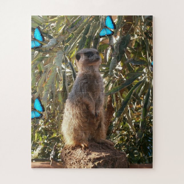 Meerkat und blaue Schmetterlinge, (Vertikal)