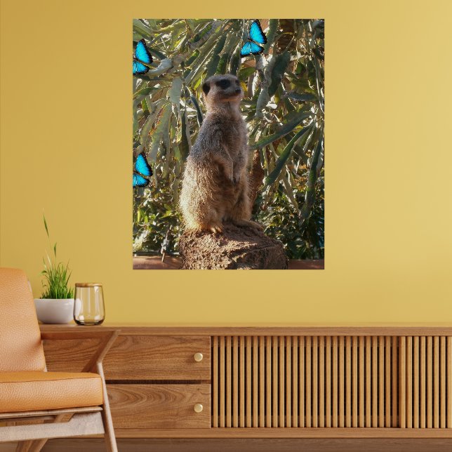 Meerkat und blaue Schmetterlinge, Poster (Wohnzimmer 2)