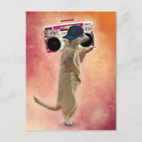 Meerkat und Boom Box