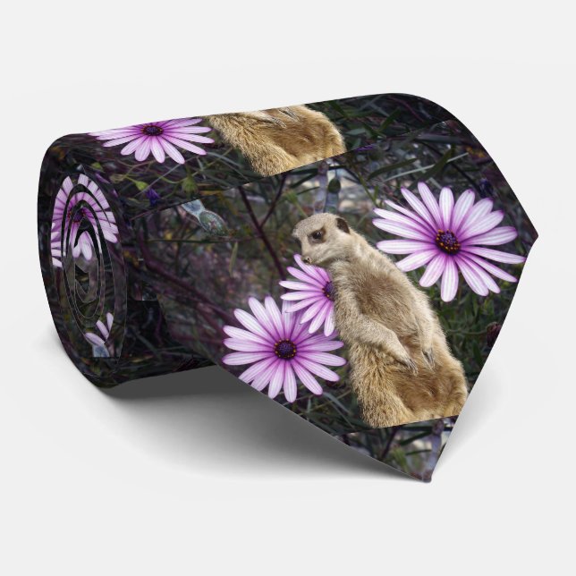 Meerkat und Daises, Krawatte (Gerollt)